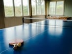 Table tennis Table tennis